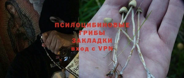 хмурый Вязники
