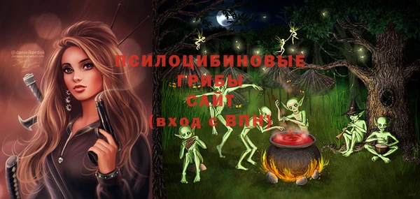 мдпв Волоколамск