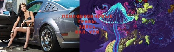 мдпв Волоколамск